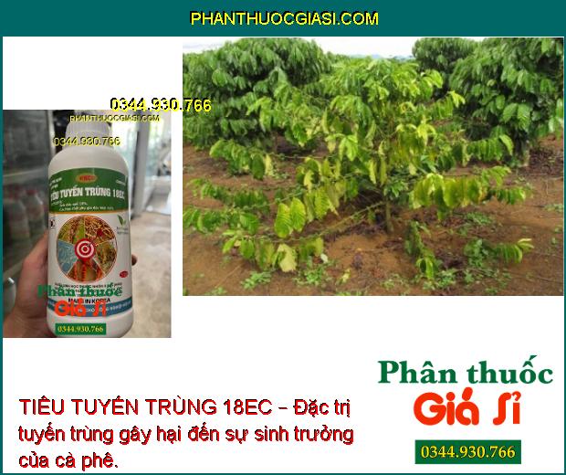 TIÊU TUYẾN TRÙNG 18EC – THUỐC SINH HỌC ĐẶC TRỊ TUYẾN TRÙNG CHO CÂY TRỒNG 