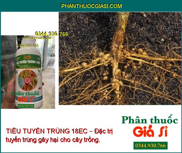 TIÊU TUYẾN TRÙNG 18EC – THUỐC SINH HỌC ĐẶC TRỊ TUYẾN TRÙNG CHO CÂY TRỒNG 