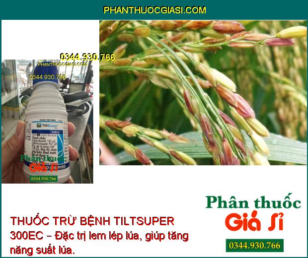 THUỐC TRỪ BỆNH TILTSUPER 300EC – ĐẶC TRỊ NẤM BỆNH 