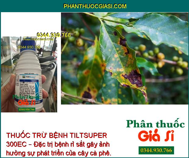 THUỐC TRỪ BỆNH TILTSUPER 300EC – ĐẶC TRỊ NẤM BỆNH 