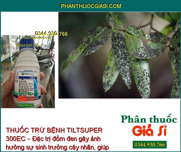 THUỐC TRỪ BỆNH TILTSUPER 300EC – ĐẶC TRỊ NẤM BỆNH 