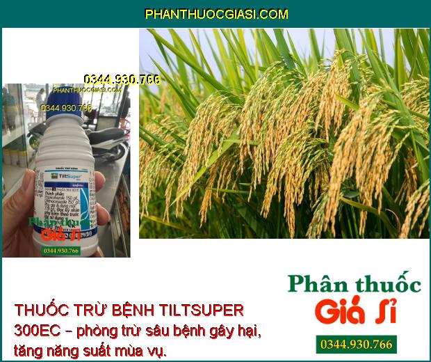 THUỐC TRỪ BỆNH TILTSUPER 300EC – ĐẶC TRỊ NẤM BỆNH 