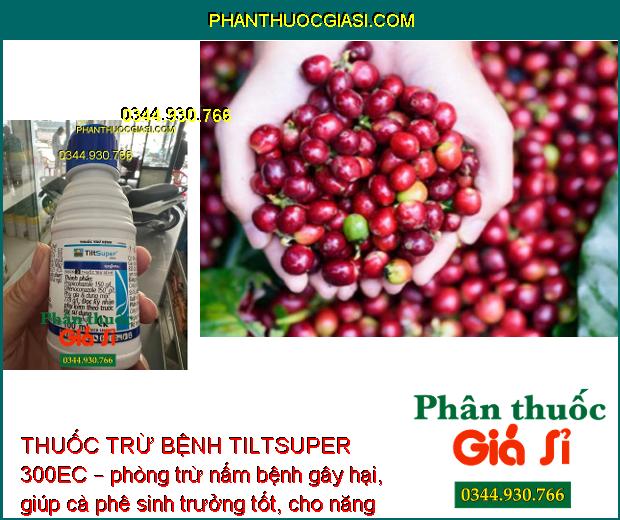 THUỐC TRỪ BỆNH TILTSUPER 300EC – ĐẶC TRỊ NẤM BỆNH 