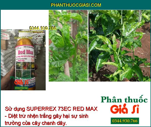 SUPERREX 73EC RED MAX - Diệt Trừ Các Loại Nhện