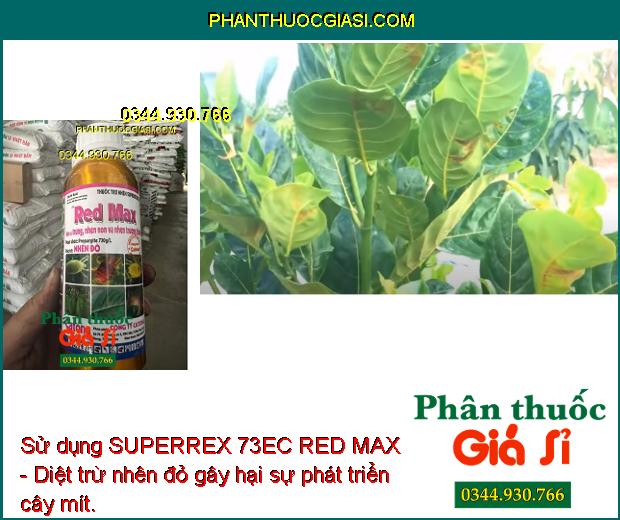 SUPERREX 73EC RED MAX - Diệt Trừ Các Loại Nhện