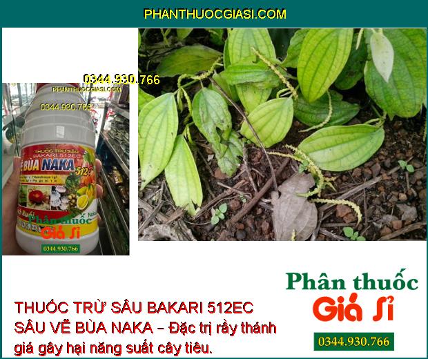 THUỐC TRỪ SÂU BAKARI 512EC SÂU VẼ BÙA NAKA – ĐẶC TRỊ SÂU HẠI CÂY TRỒNG