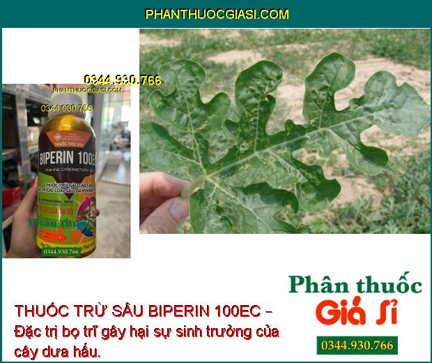 THUỐC TRỪ SÂU BIPERIN 100EC – Đặc Trị Các Loại Sâu Đã Kháng Thuốc 