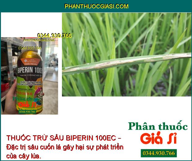 THUỐC TRỪ SÂU BIPERIN 100EC – Đặc Trị Các Loại Sâu Đã Kháng Thuốc 