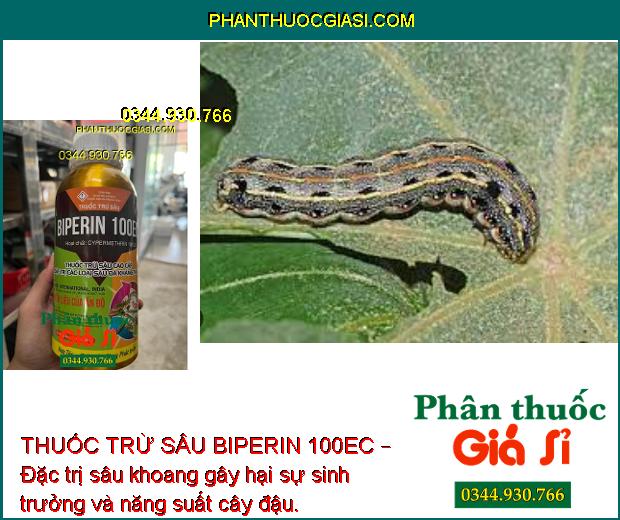 THUỐC TRỪ SÂU BIPERIN 100EC – Đặc Trị Các Loại Sâu Đã Kháng Thuốc 