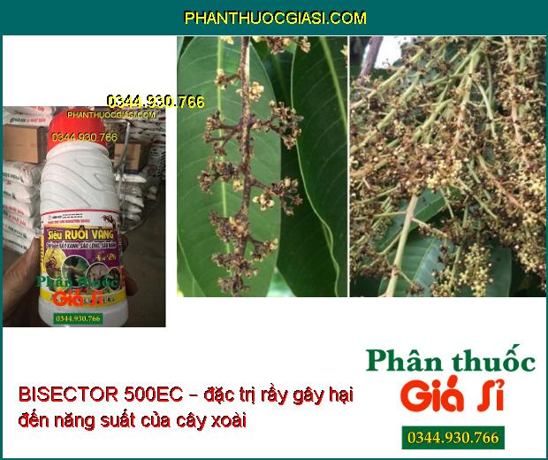 BISECTOR 500EC – Siêu Ruồi Vàng- Trị Rầy Xanh- Sâu Lông- Sâu Hành