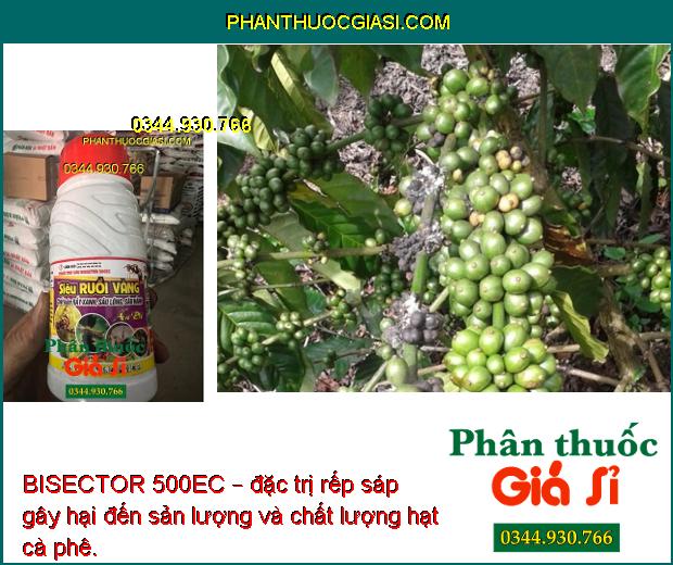 BISECTOR 500EC – Siêu Ruồi Vàng- Trị Rầy Xanh- Sâu Lông- Sâu Hành