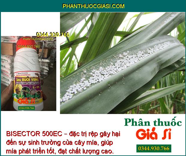 BISECTOR 500EC – Siêu Ruồi Vàng- Trị Rầy Xanh- Sâu Lông- Sâu Hành