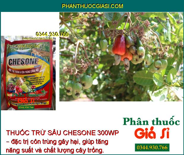 THUỐC TRỪ SÂU CHESONE 300WP – THUỐC ĐẶC TRỊ TRỨNG  VÀ CÔN TRÙNG CHÍCH HÚT