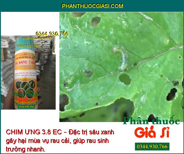 CHIM ƯNG 3.8 EC – Đại Bàng Chiến- Đặc Trị Nhện Đỏ Và Các Loại Sâu Bọ