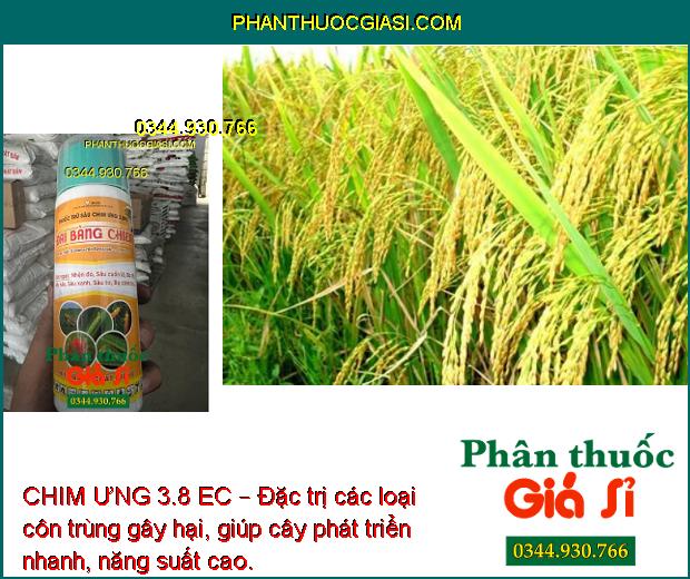 CHIM ƯNG 3.8 EC – Đại Bàng Chiến- Đặc Trị Nhện Đỏ Và Các Loại Sâu Bọ