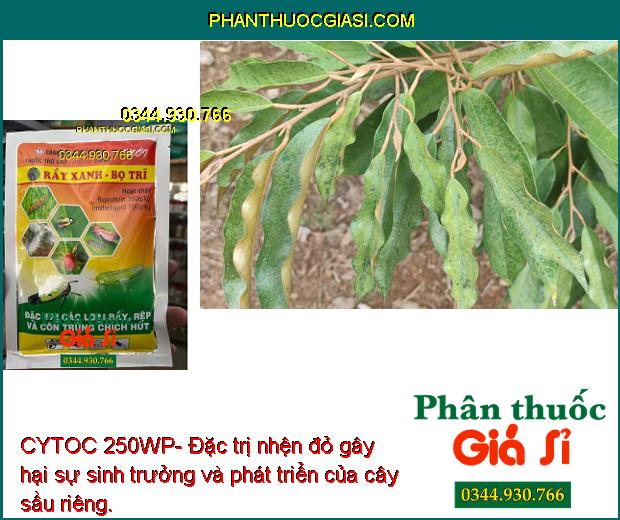 CYTOC 250WP-Đặc Trị Rầy Xanh - Bo Trĩ