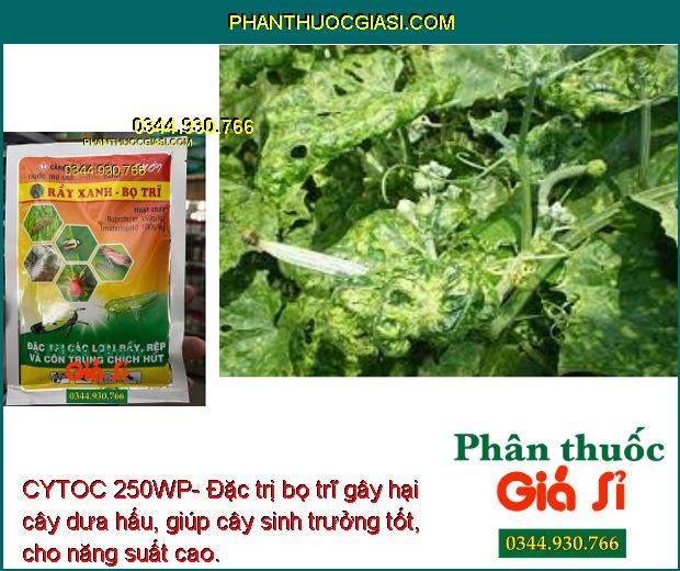 CYTOC 250WP-Đặc Trị Rầy Xanh - Bo Trĩ