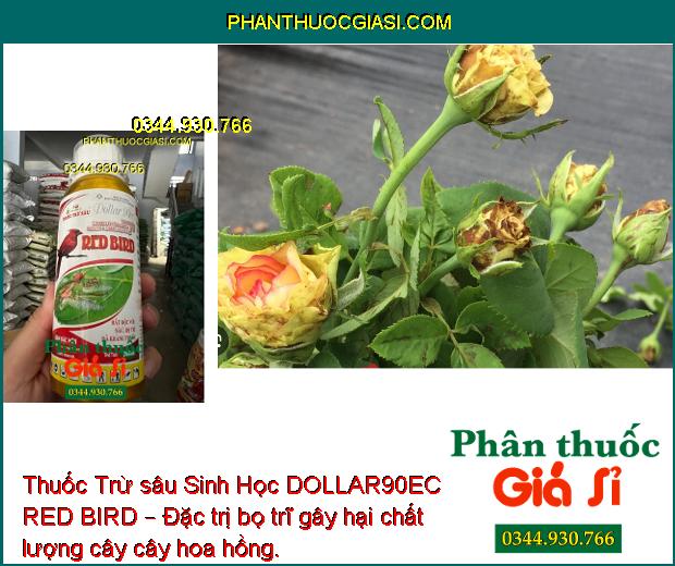 Thuốc Trừ sâu Sinh Học DOLLAR90EC RED BIRD – Đặc Trị Sâu Gây Hại