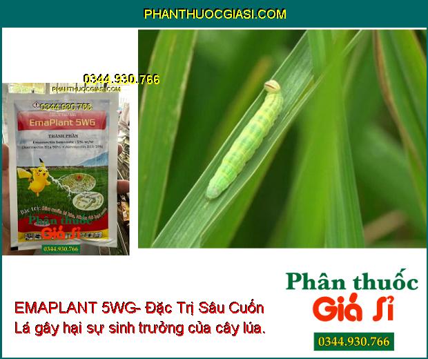 EMAPLANT 5WG- Đặc Trị Sâu Cuốn Lá- Nhện Đỏ Hại Cam