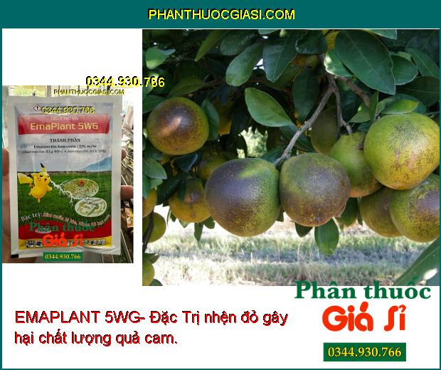 EMAPLANT 5WG- Đặc Trị Sâu Cuốn Lá- Nhện Đỏ Hại Cam