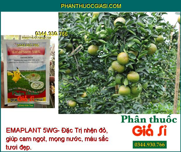 EMAPLANT 5WG- Đặc Trị Sâu Cuốn Lá- Nhện Đỏ Hại Cam