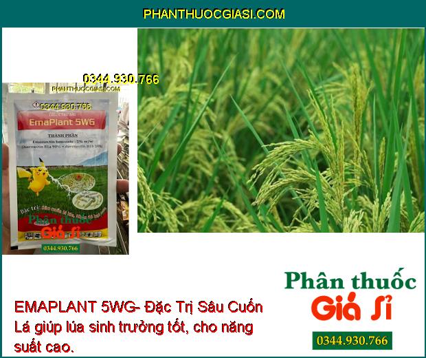 EMAPLANT 5WG- Đặc Trị Sâu Cuốn Lá- Nhện Đỏ Hại Cam