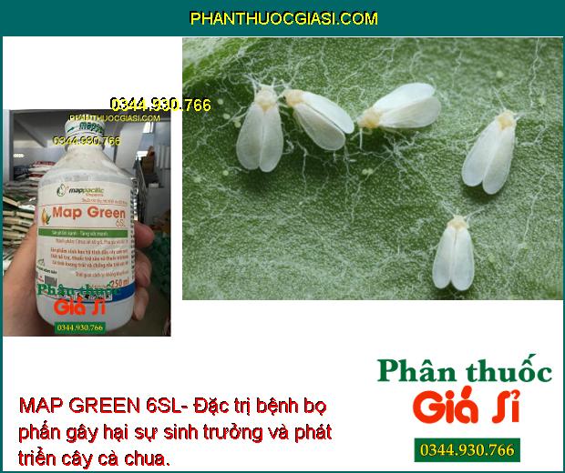 MAP GREEN 6SL- Thuốc Đặc Trị Các Loại Nấm Bệnh Gây Hại