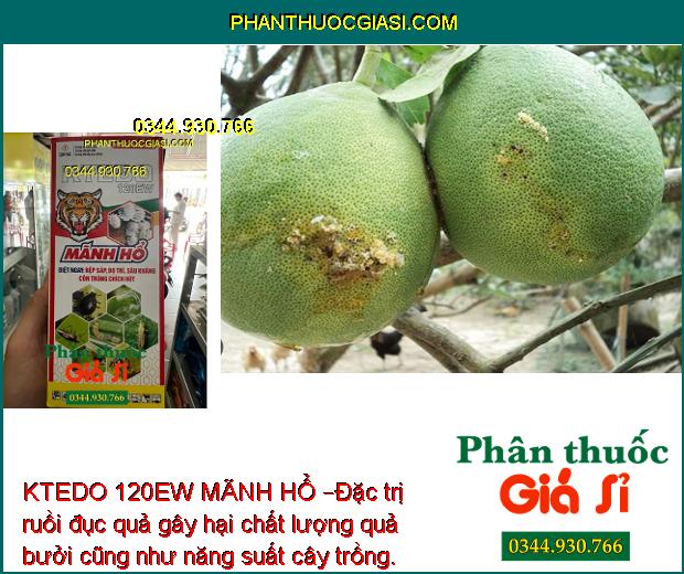 KTEDO 120EW MÃNH HỔ – Đặc Trị Rệp Sáp- Bọ Trĩ- Sâu Kháng- Côn Trùng Chích Hút