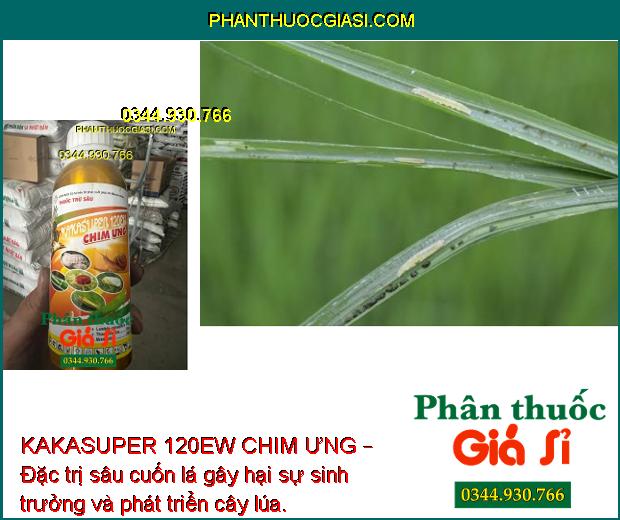 KAKASUPER 120EW CHIM ƯNG – Đặc Trị Sâu Cuốn Lá