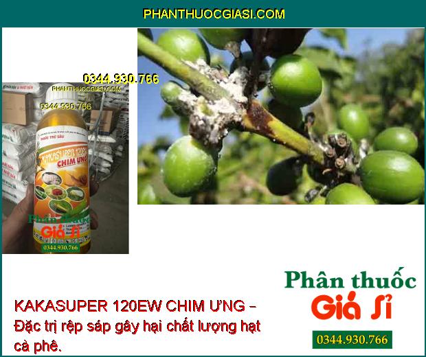 KAKASUPER 120EW CHIM ƯNG – Đặc Trị Sâu Cuốn Lá