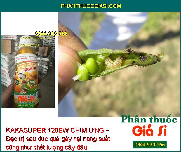 KAKASUPER 120EW CHIM ƯNG – Đặc Trị Sâu Cuốn Lá