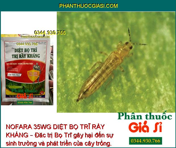 NOFARA 35WG DIỆT BỌ TRĨ RẦY KHÁNG – Đặc Trị Rầy Nâu- Bọ Trĩ Hại Lúa