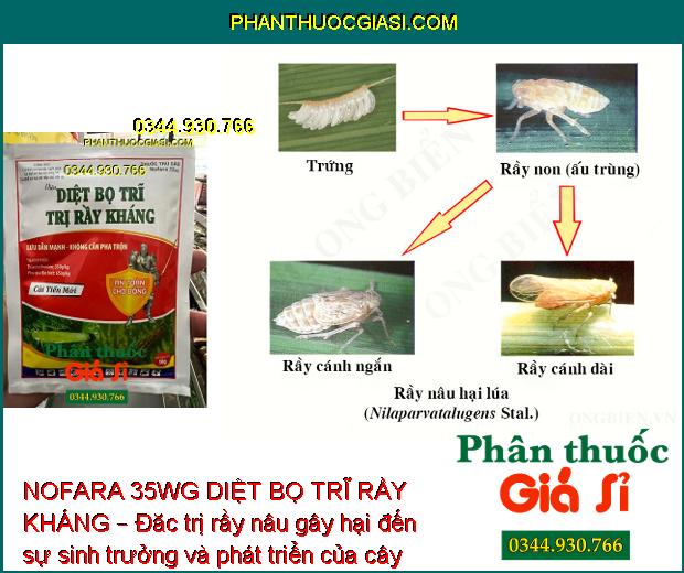 NOFARA 35WG DIỆT BỌ TRĨ RẦY KHÁNG – Đặc Trị Rầy Nâu- Bọ Trĩ Hại Lúa