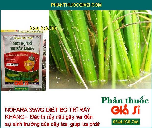 NOFARA 35WG DIỆT BỌ TRĨ RẦY KHÁNG – Đặc Trị Rầy Nâu- Bọ Trĩ Hại Lúa