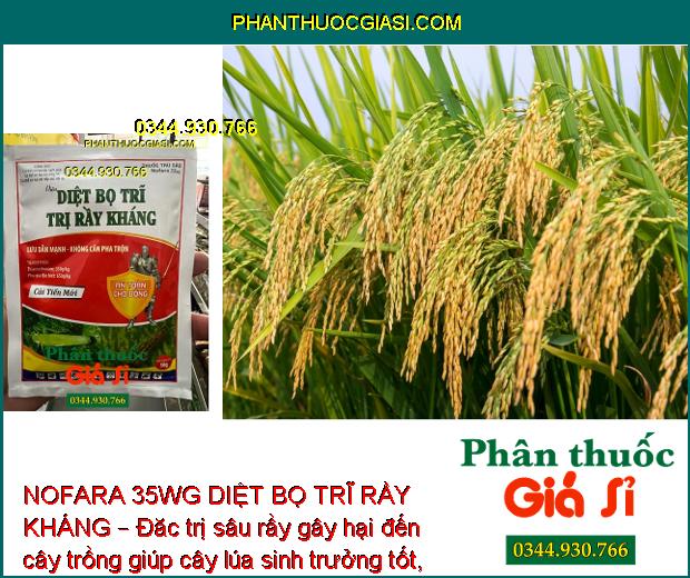 NOFARA 35WG DIỆT BỌ TRĨ RẦY KHÁNG – Đặc Trị Rầy Nâu- Bọ Trĩ Hại Lúa