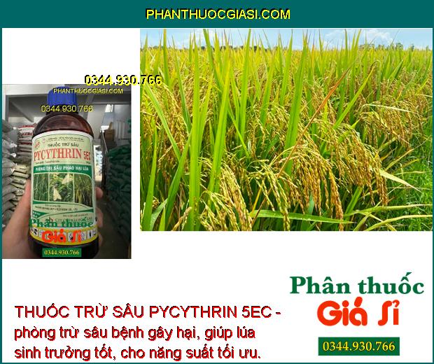 THUỐC TRỪ SÂU PYCYTHRIN 5EC - ĐẶC TRỊ CÁC LOẠI SÂU HẠI CÂY TRỒNG