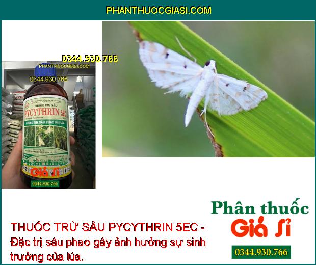 THUỐC TRỪ SÂU PYCYTHRIN 5EC - ĐẶC TRỊ CÁC LOẠI SÂU HẠI CÂY TRỒNG