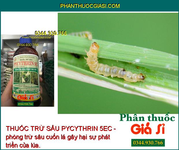 THUỐC TRỪ SÂU PYCYTHRIN 5EC - ĐẶC TRỊ CÁC LOẠI SÂU HẠI CÂY TRỒNG