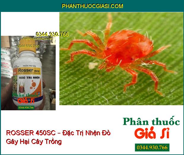 ROSSER 450SC – Đặc trị nhện đỏ gây hại 