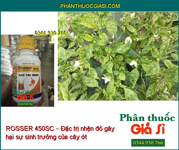 ROSSER 450SC – Đặc trị nhện đỏ gây hại 