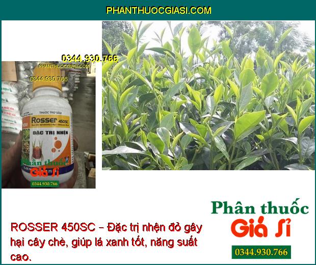 ROSSER 450SC – Đặc trị nhện đỏ gây hại 