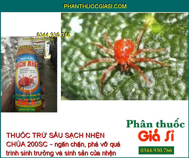 THUỐC TRỪ SÂU SẠCH NHỆN CHÚA 200SC – Đặc Trị Nhện Kháng Thuốc