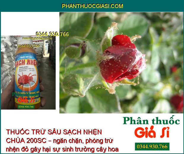 THUỐC TRỪ SÂU SẠCH NHỆN CHÚA 200SC – Đặc Trị Nhện Kháng Thuốc