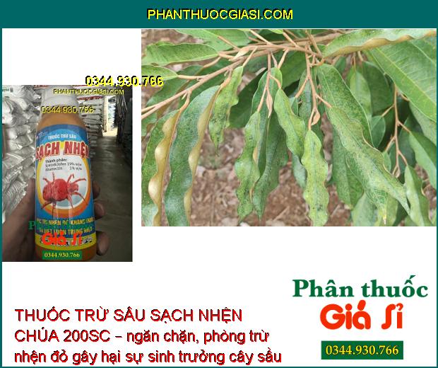 THUỐC TRỪ SÂU SẠCH NHỆN CHÚA 200SC – Đặc Trị Nhện Kháng Thuốc