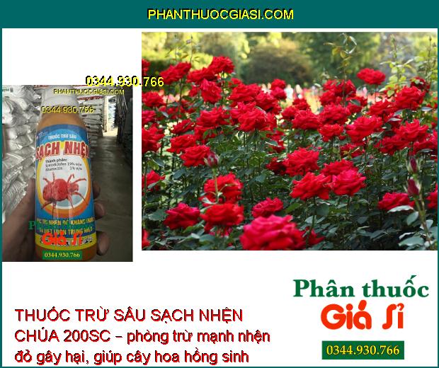 THUỐC TRỪ SÂU SẠCH NHỆN CHÚA 200SC – Đặc Trị Nhện Kháng Thuốc