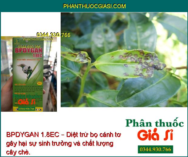 BPDYGAN 1.8EC – Diệt Trừ Các Loại Sâu Gây Hại