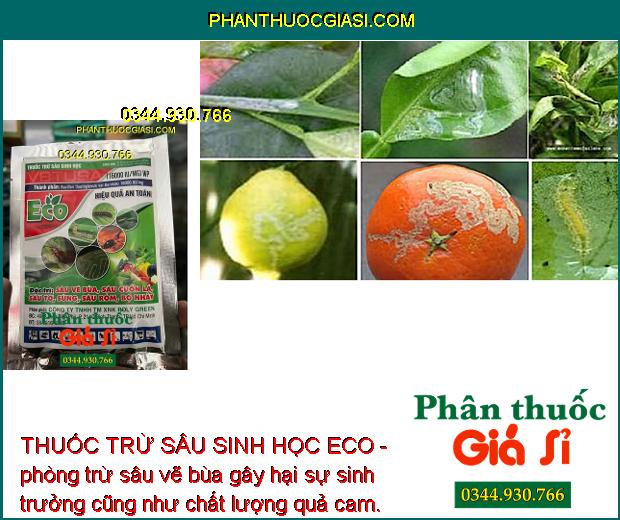 THUỐC TRỪ SÂU SINH HỌC ECO - Đặc Trị Các Loại Sâu Gây Hại