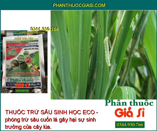 THUỐC TRỪ SÂU SINH HỌC ECO - Đặc Trị Các Loại Sâu Gây Hại