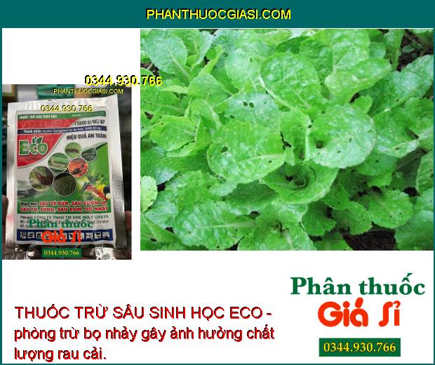 THUỐC TRỪ SÂU SINH HỌC ECO - Đặc Trị Các Loại Sâu Gây Hại