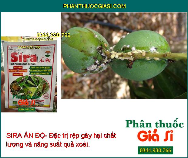 SIRA ẤN ĐỘ- Đặc Trị Bọ Trĩ - Rầy Xanh - Ruồi Vàng